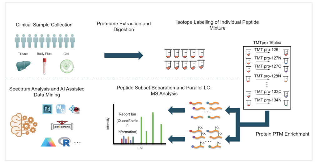磷酸化蛋白质组学 Westlake Omics ｜ 西湖欧米（杭州）生物科技有限公司 