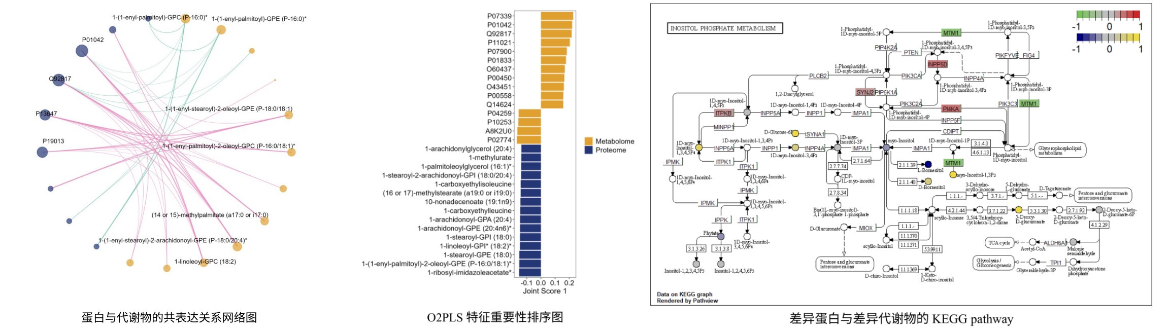 蛋白组与代谢组联合分析 - Westlake Omics | 西湖欧米(杭州)生物科技有限公司