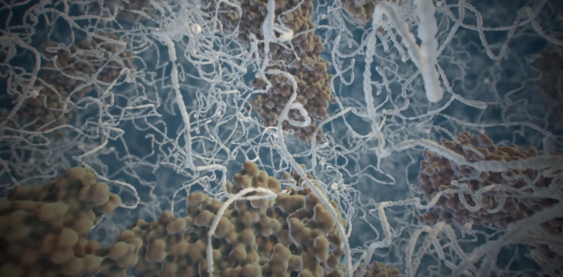【Flagship Service】FAXP™ Single-Cell and Subcellular Resolution Spatial Proteomics