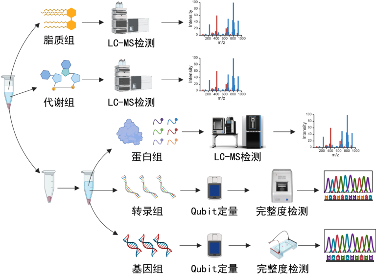 Integral-Omics™ 微量样本多组学分析 - Westlake Omics | 西湖欧米(杭州)生物科技有限公司